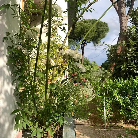 דירה Beau Rivage - In