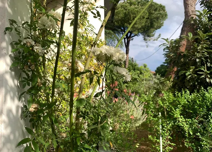 Appartamento Beau Rivage - In